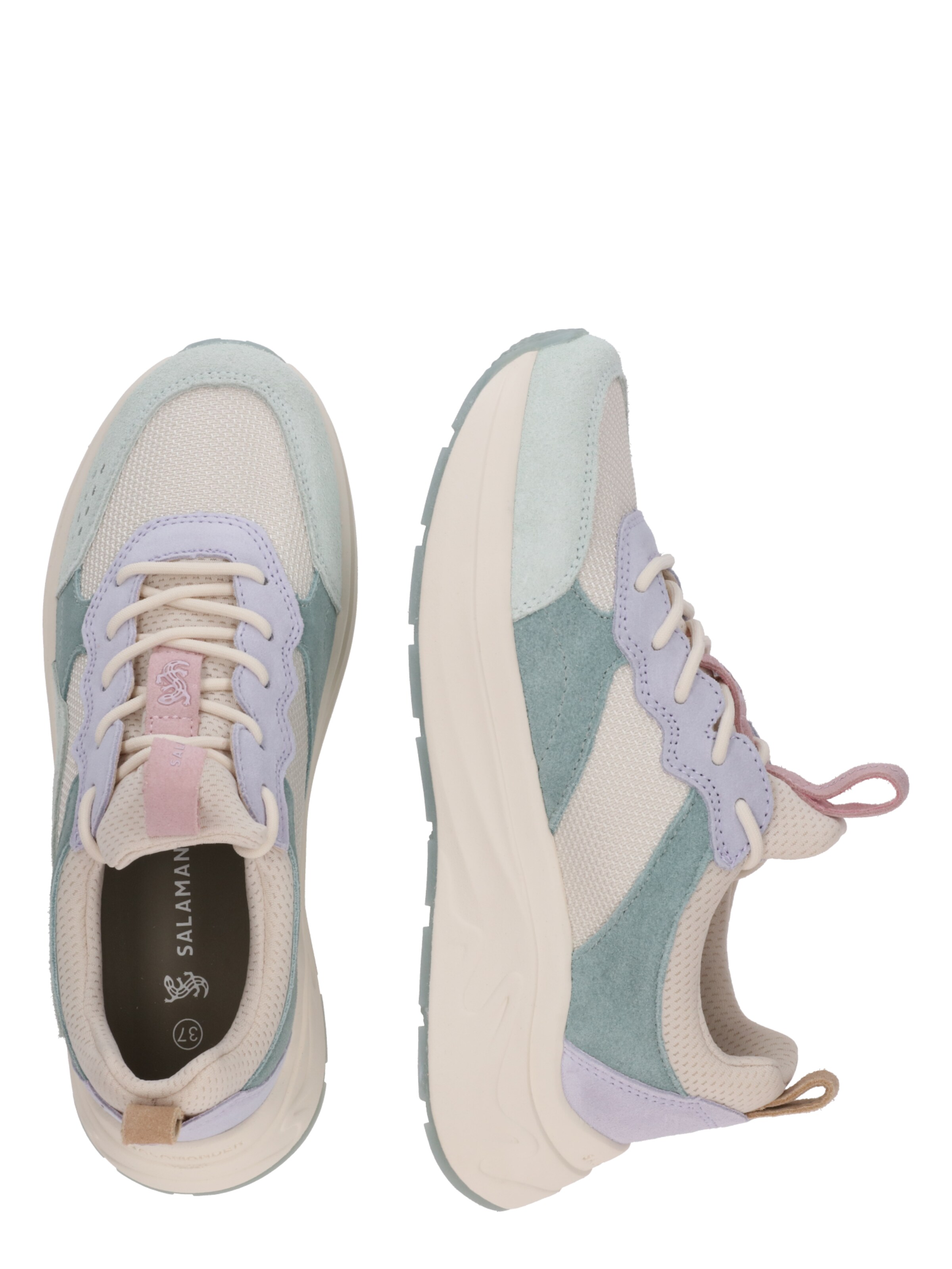 Sneaker bassa di SALAMANDER in verde