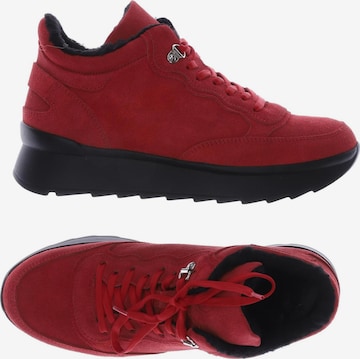 BOGNER Sneakers & Trainers in 38 in Red: front