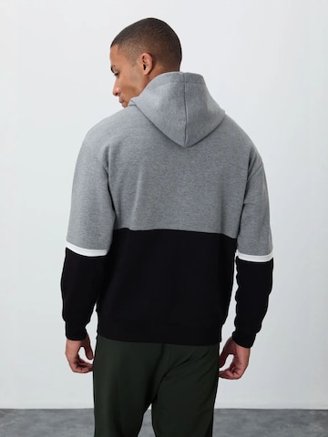 Felpa di Tommy Life in grigio