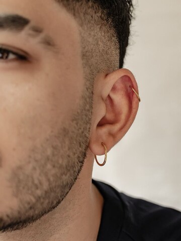 Hey Happiness Oorbel 'Slim Hoop' in Goud