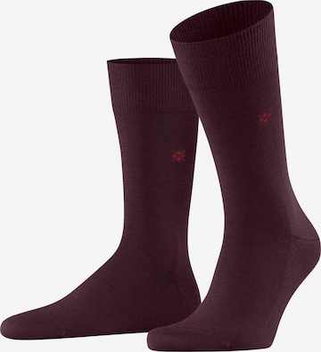 Chaussettes BURLINGTON en violet : devant