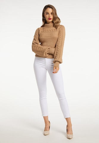 faina Sweater in Brown