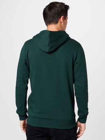 Felpa di JACK & JONES in verde