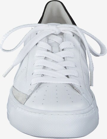 Paul Green Sneakers in White