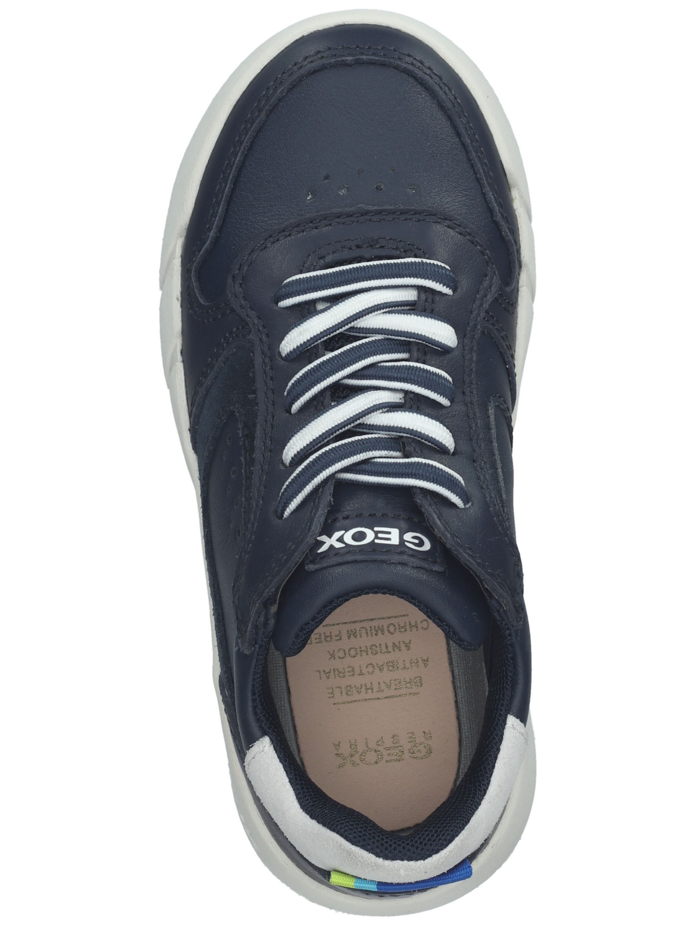 GEOX Sneaker 'Hyroo' in Blau