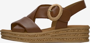 Sandales à lanières GABOR en marron : devant