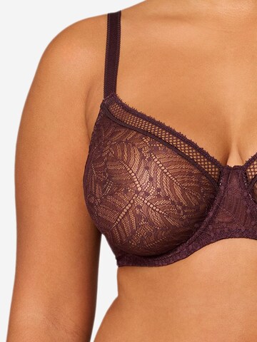 Simone Perele Bra 'Comete' in Brown