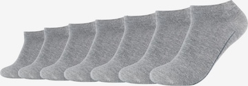 camano Socks in Grey: front