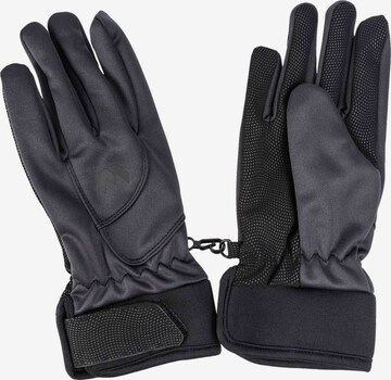 Whistler Outdoor-Handschuhe 'Telun' in Mischfarben: predná strana