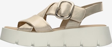GABOR Sandaalit värissä beige: etupuoli