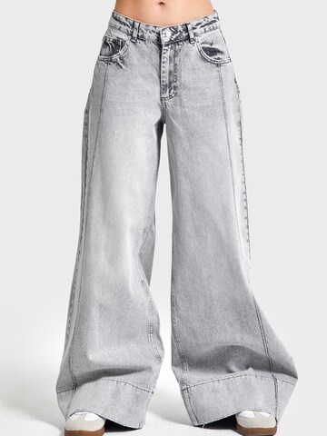 IT'S BASIC Wide leg Jeans in Grijs