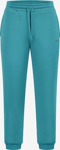 Smilodox Pants in Blue: front