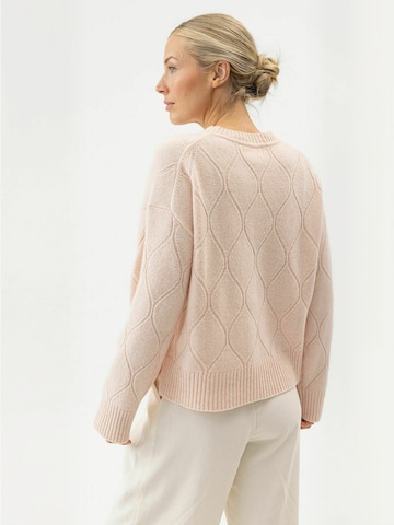 Holebrook Pullover ' Carro ' i pink: tilbage