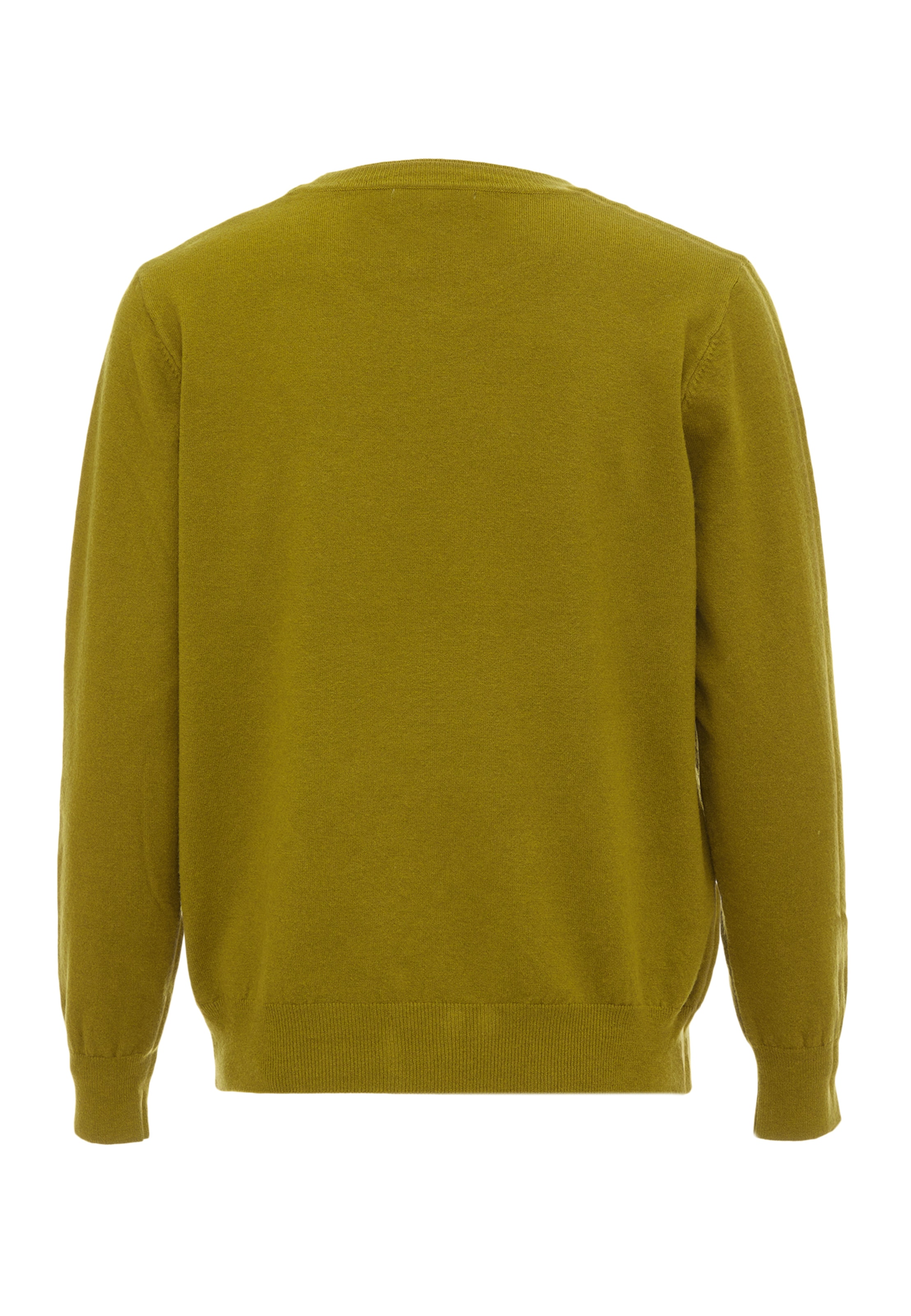 LUREA Свитер в Зеленый