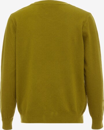 Pull-over LUREA en vert