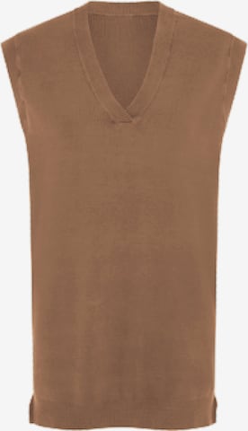 Aligne Sweater 'Eloise' in Brown: front
