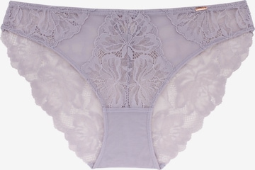 Dorina Alushousut 'SEDAN ' värissä lila: etupuoli