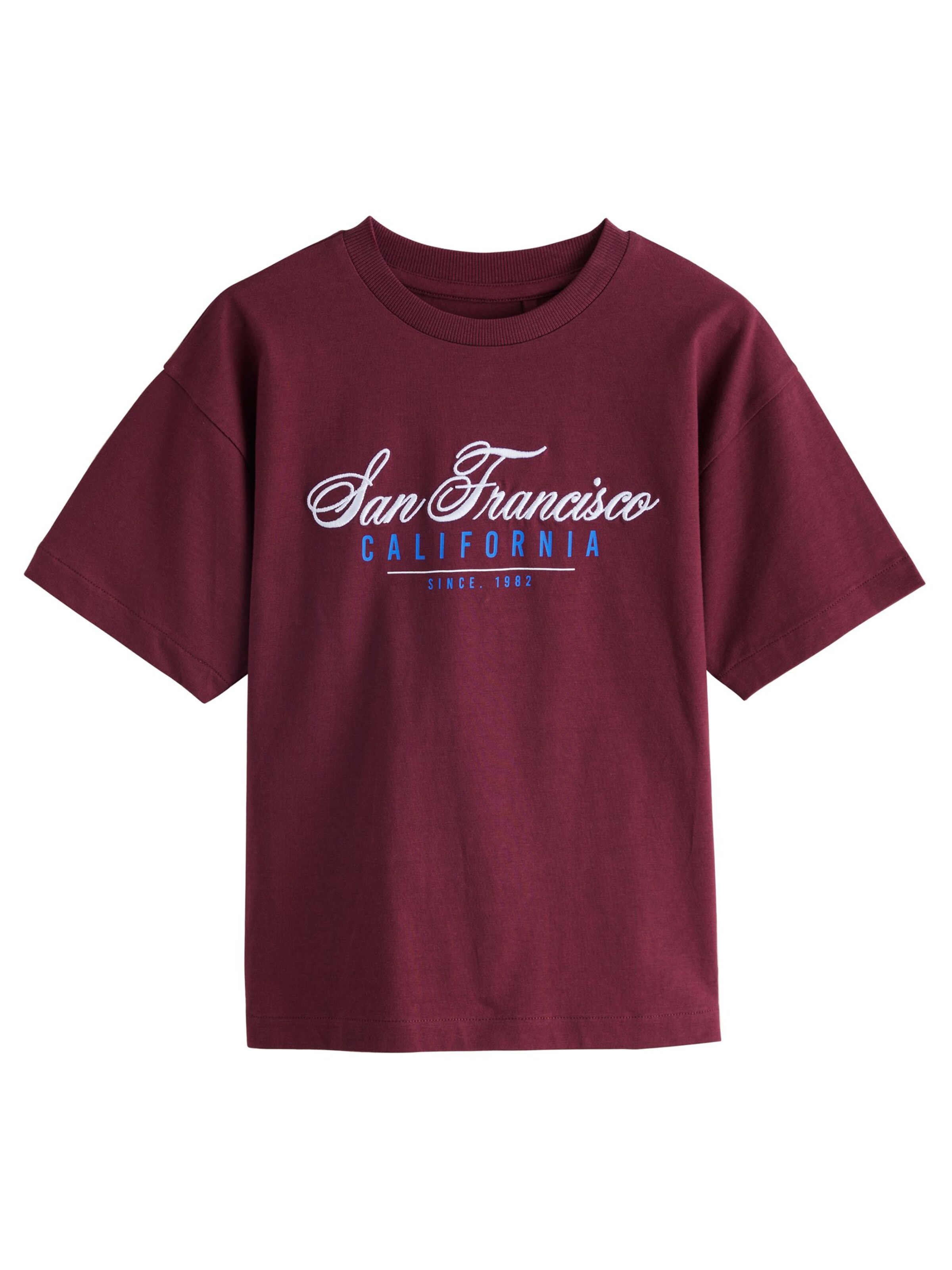 Next T-Shirt in Blau