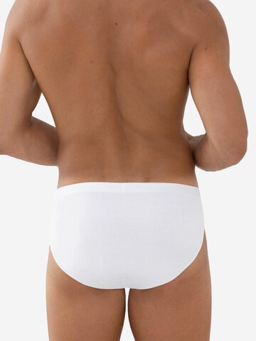 Mey Slip 'Casual Cotton' in White