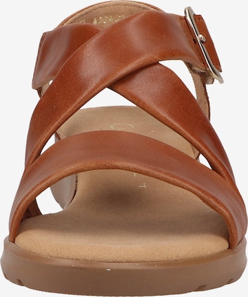 GABOR Strap Sandals in Brown