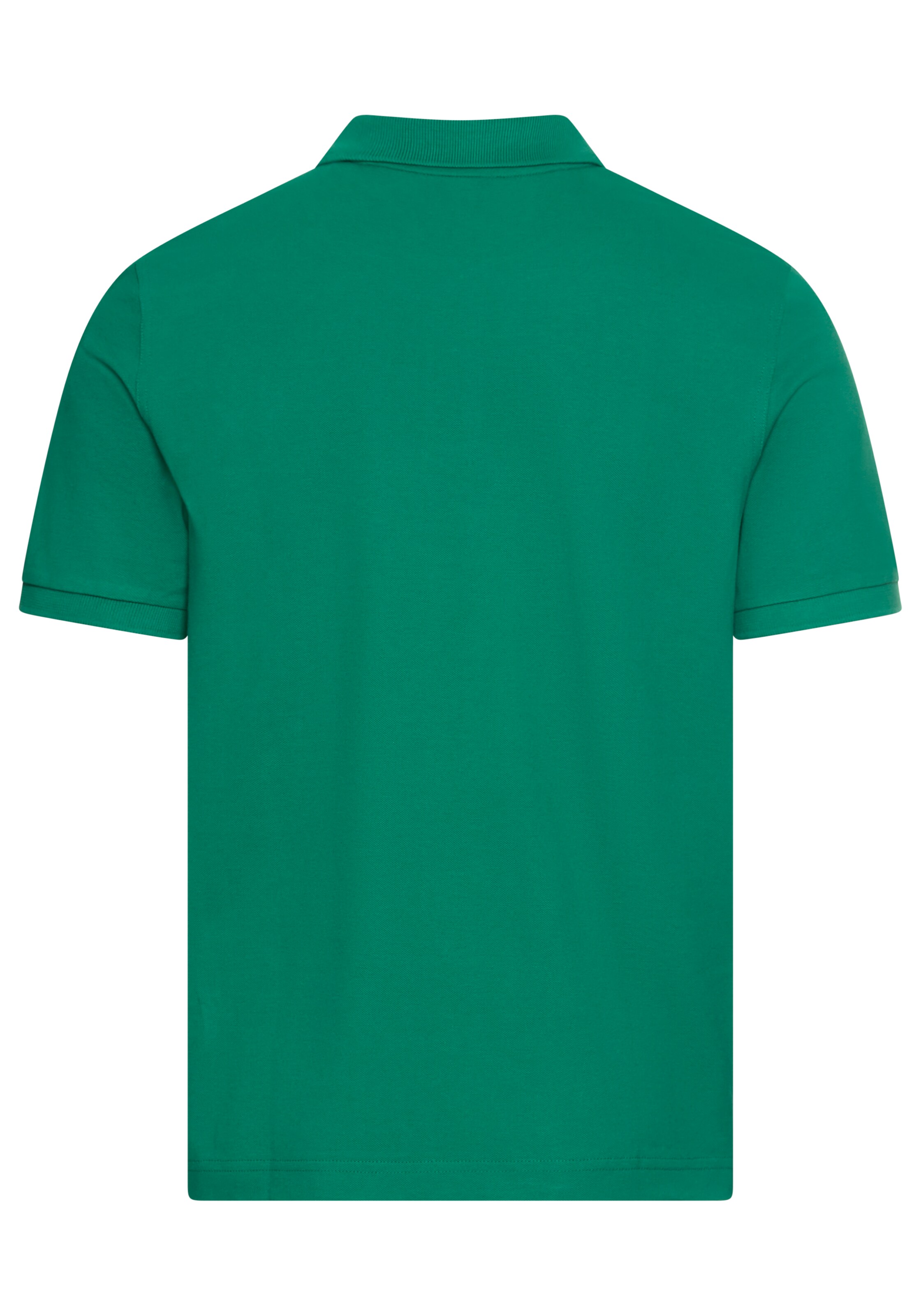 GANT Shirt in Green