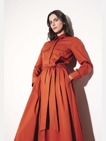SEIDENSTICKER Shirt dress in Brown