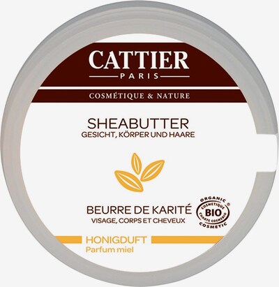 Cattier Sheabutter in weiß, Produktansicht