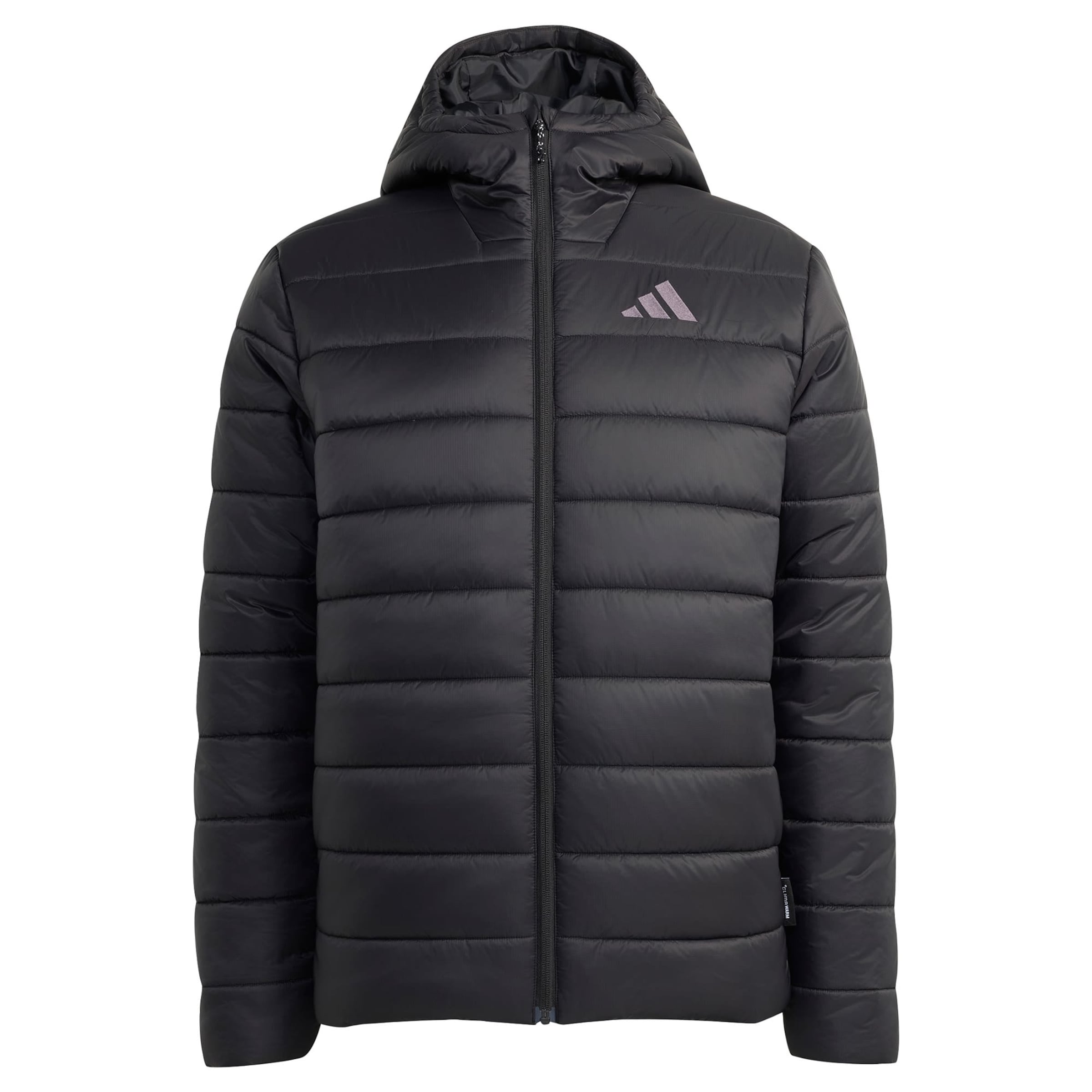 Giacca per outdoor 'Essentials' di ADIDAS TERREX in nero: frontale