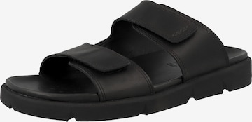 GEOX Mules 'Xand' in Black: front
