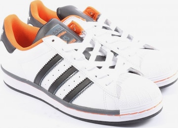 ADIDAS Sneakers & Trainers in 38 in White: front