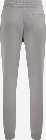 COLUMBIA Zúžený Sportovní kalhoty 'Cliff Glide' – šedá