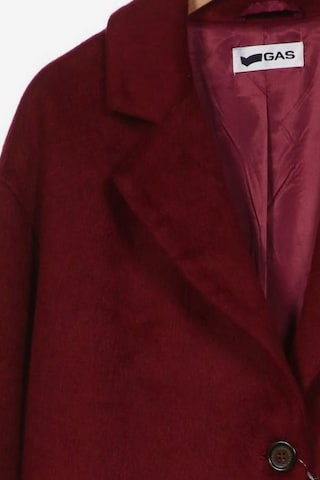 GAS Jacket & Coat in L in Red