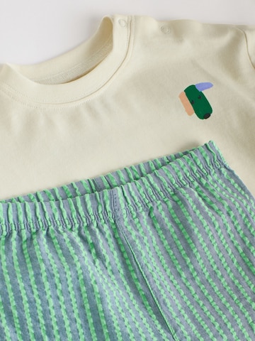 NextKomplet - zelena boja