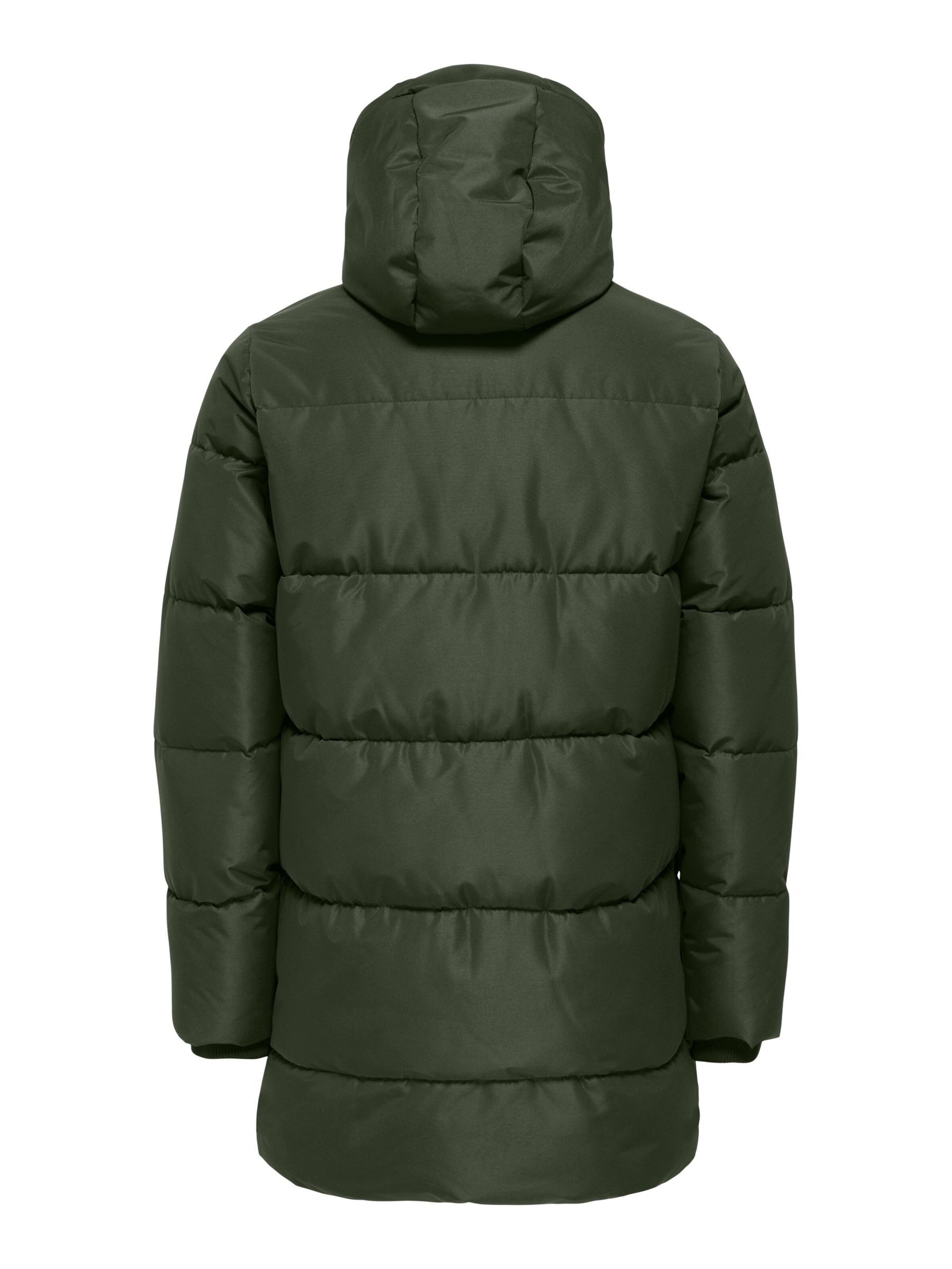 Only & Sons Winter jacket 'CAM ' in Green