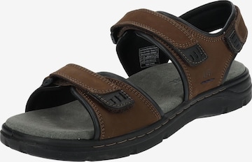 JOSEF SEIBEL Sandals in Brown: front