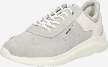 Baskets basses 'Diodiana' GEOX en gris : devant