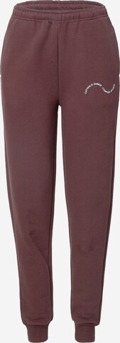 Comfort Studio by Catwalk Junkie Tapered Pants in Brown: front