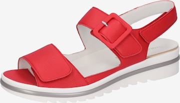 WALDLÄUFER Strap Sandals in Red: front
