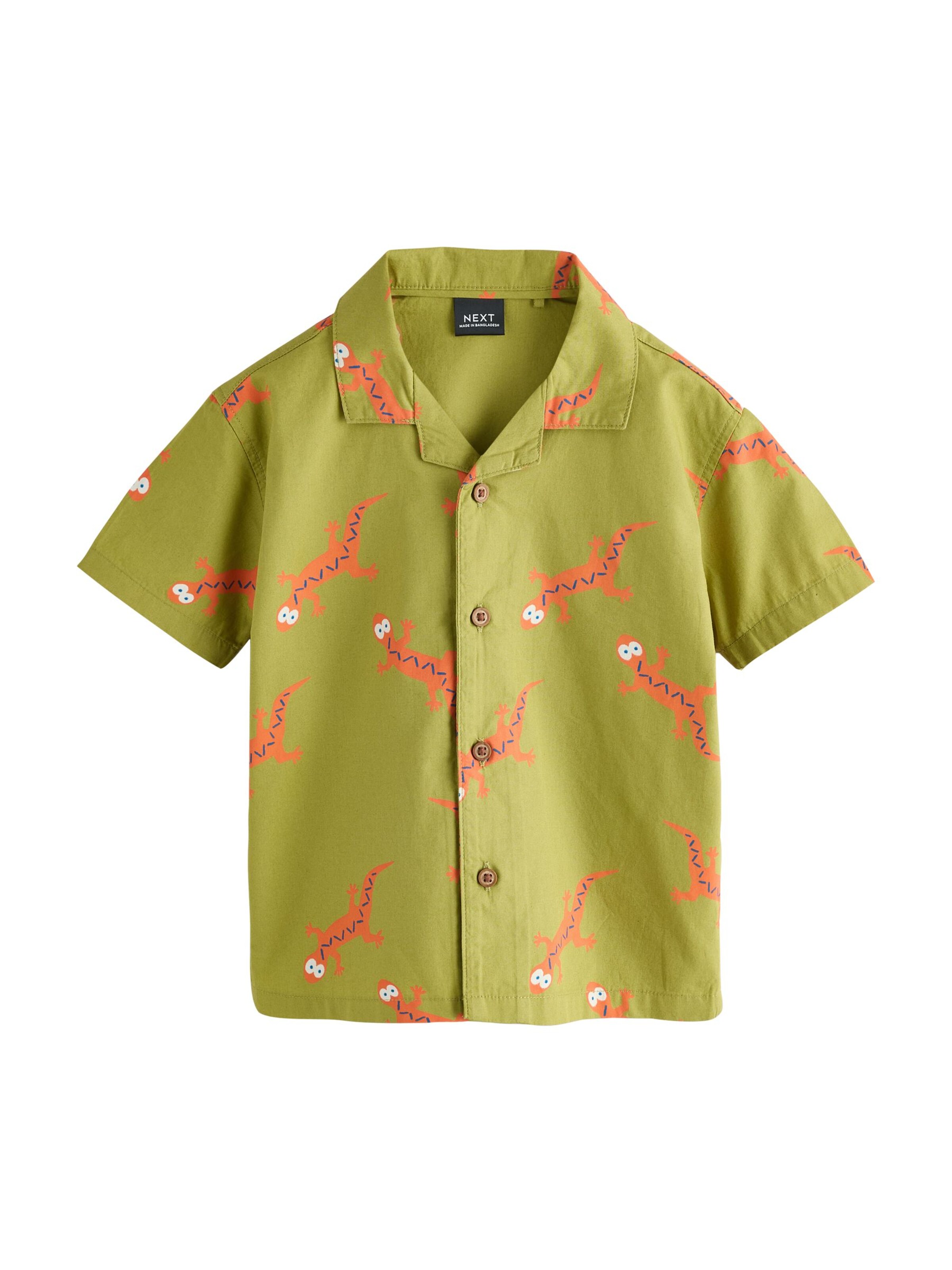 Next Regular Fit Hemd in Grün: Vorderseite