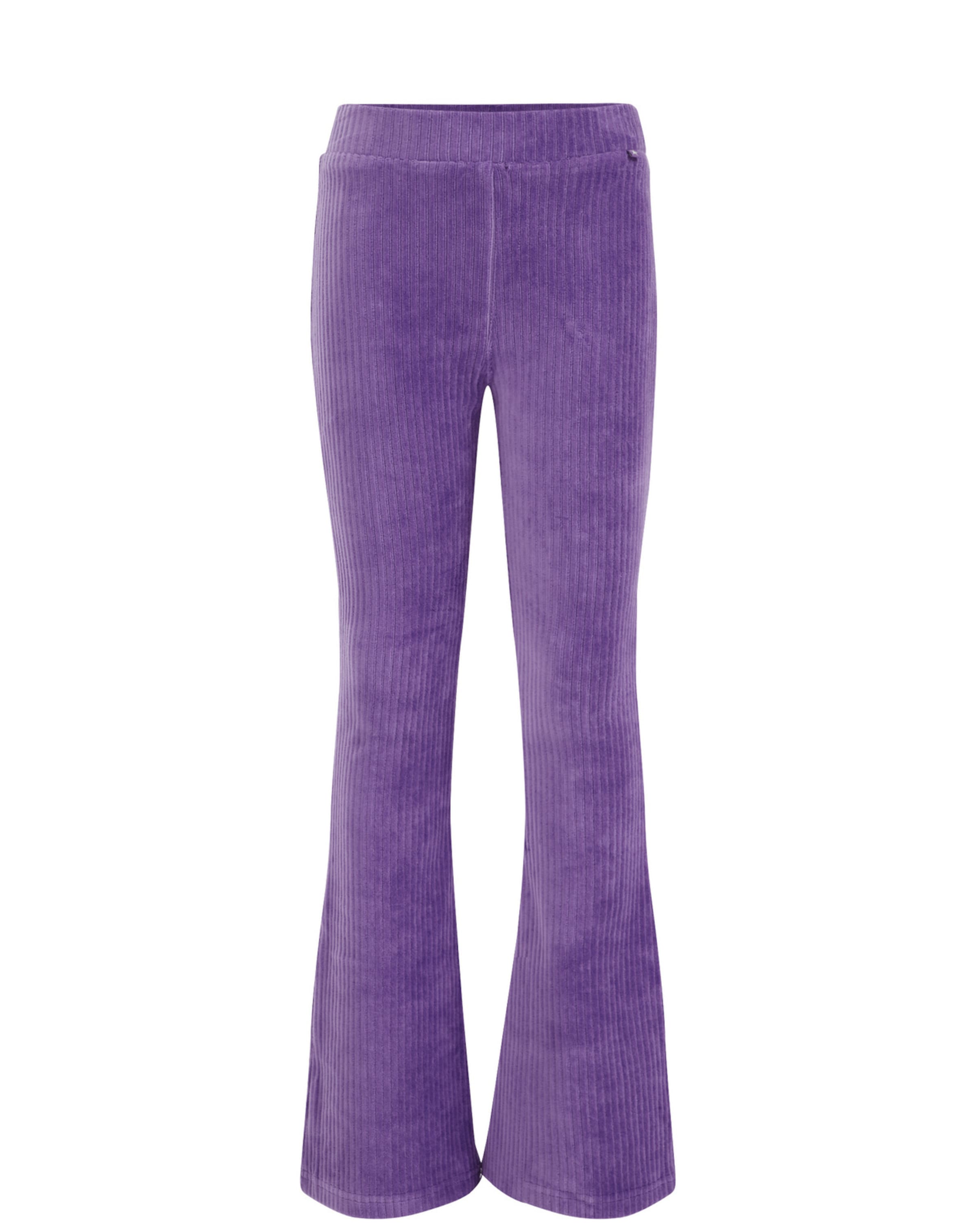 WE Fashion Расклешенный Леггинсы в Лиловый: спереди