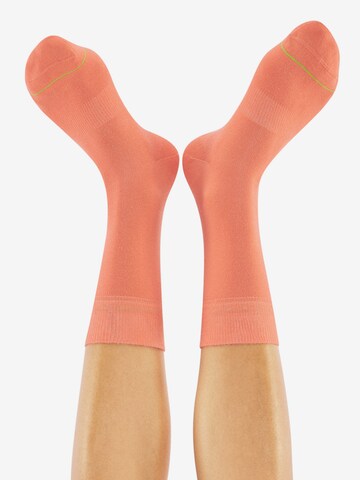 CHEERIO* Socks 'Best Friend' in Orange: front
