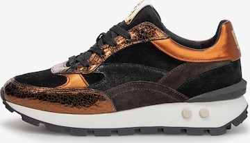 Baskets basses Floris van Bommel en marron : devant