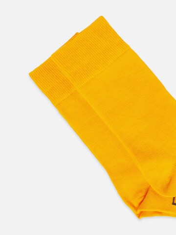 DillySocks Socks 'D-Compose 2er Set' in Yellow