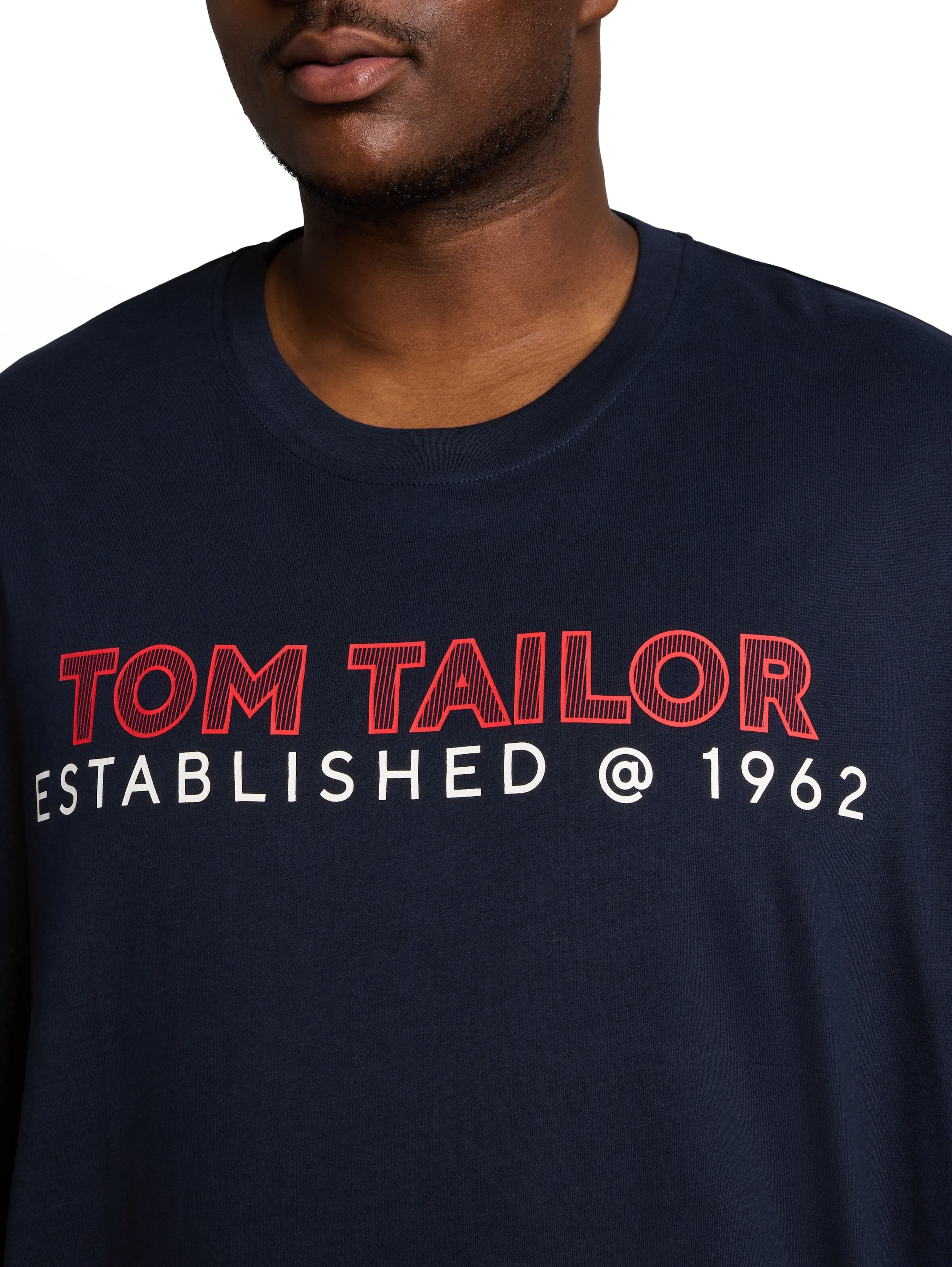 mėlyna TOM TAILOR Men + Marškinėliai