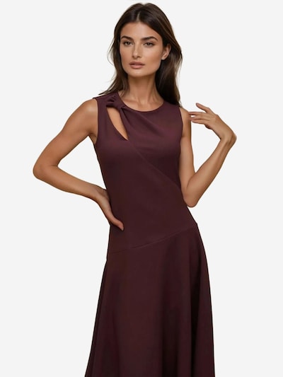 Hiccup Robe en chocolat, Vue avec produit