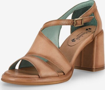 FELMINI Sandals in Brown: front