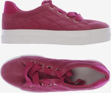 GANT Sneaker 38 in Pink: predná strana