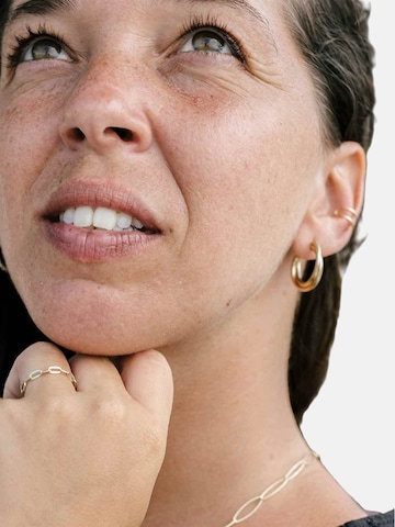 fejn Earrings in Gold