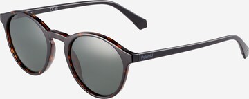 Polaroid Sunglasses in Brown: front