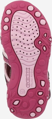 GEOX Open shoes 'Whinberry' in Pink